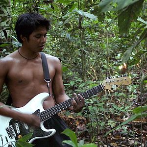 Bilder A Floresta De Jonathas - Im dunklen Grün