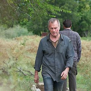 Bilder Stephen Collins