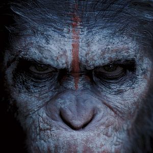 Bilder Planet der Affen 2: Revolution