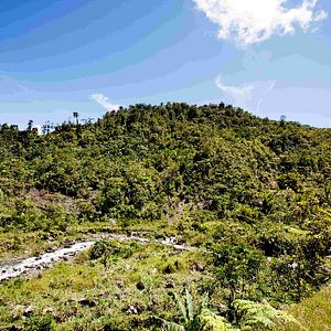 Bilder Papua 3D - Die geheimnisvolle Insel der Kannibalen