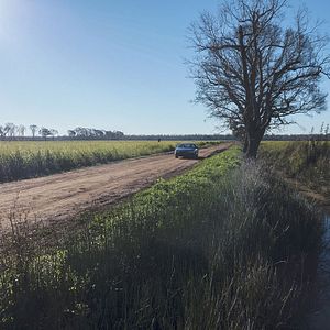 Bilder True Detective