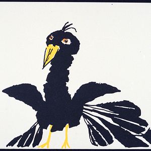 Bilder La pie voleuse