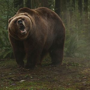 Bilder Red Machine - Hunt or Be Hunted