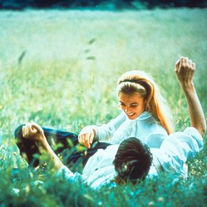 Bilder Pia Degermark