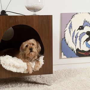 Bilder Anchorman - Die Legende kehrt zurück