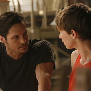 Bilder Nick Wechsler (II)