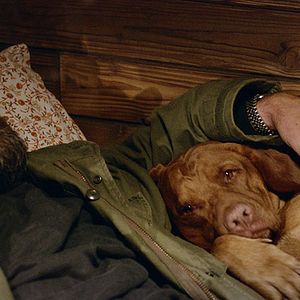 Bilder Blutgletscher