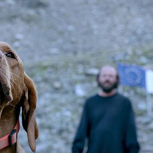 Bilder Blutgletscher