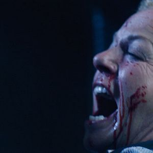 Bilder Brigitte Kren