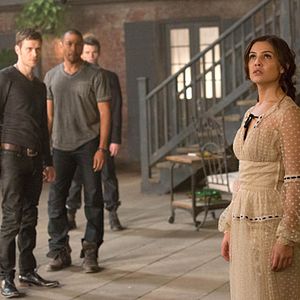 Bilder Danielle Campbell