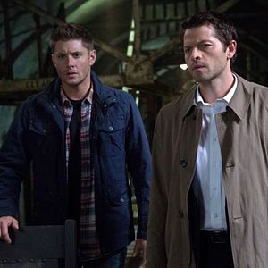 Bilder Misha Collins