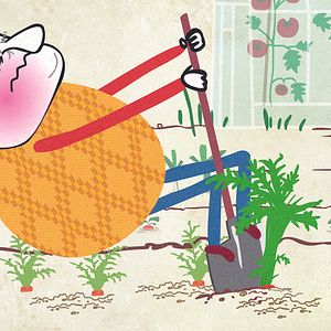 Bilder Le Parfum de la carotte