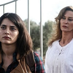 Bilder Zeytin Tepesi