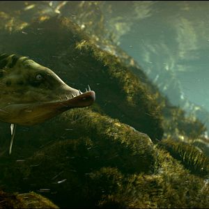 Bilder Die Winzlinge - Operation Zuckerdose