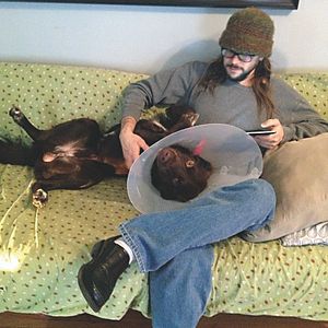 Bilder Doggie Boogie - Disco-Fieber auf vier Pfoten