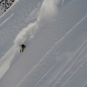 Bilder Into the Mind