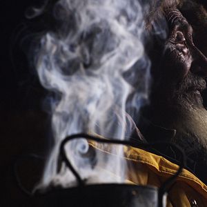 Bilder Into the Mind