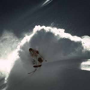 Bilder Into the Mind