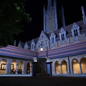 Bilder Vampire Academy