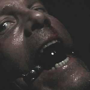 Bilder Symphony in Blood Red