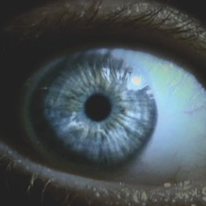 Bilder Symphony in Blood Red