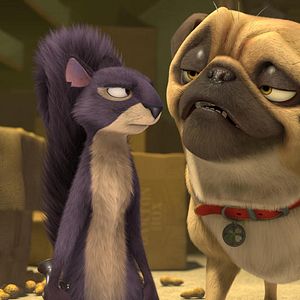 Bilder Operation Nussknacker