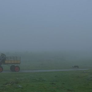 Bilder The Good Life