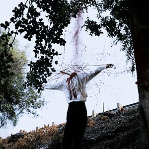 Bilder The Human Race - The "Race or Die" Tournament