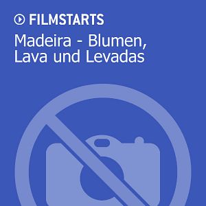 Bilder Madeira - Blumen, Lava und Levadas