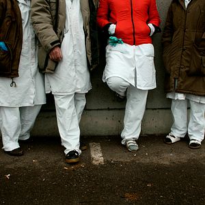 Bilder Nermina Lukac