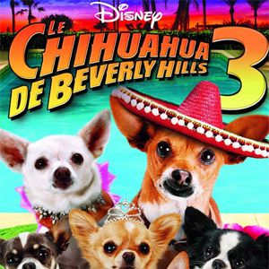 Bilder Beverly Hills Chihuahua 3