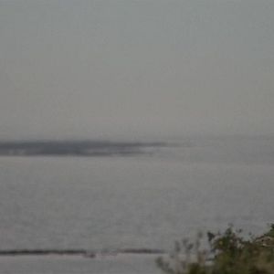 Bilder Everyone's Going to Die