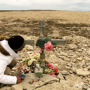 Bilder I will come back as a baby