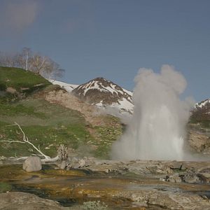 Bilder Im Land der Bären