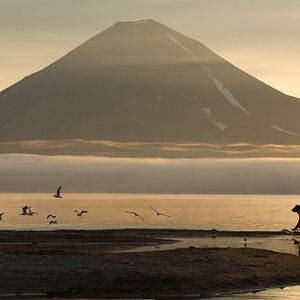Bilder Im Land der Bären