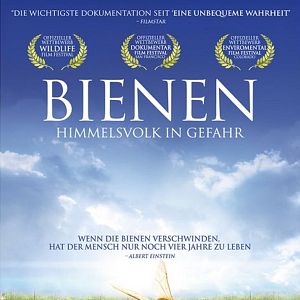 Bilder Bienen - Himmelsvolk in Gefahr