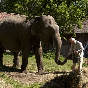 Bilder Der Hundertjährige, der aus dem Fenster stieg und verschwand