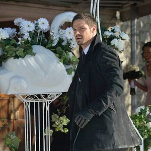 Bilder Jay Ryan (III)