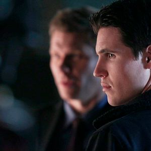 Bilder Robbie Amell