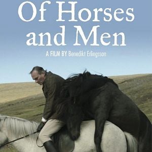 Bilder Von Menschen und Pferden