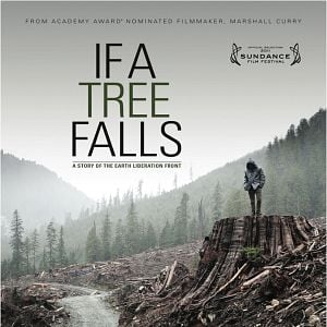 Bilder If a Tree Falls