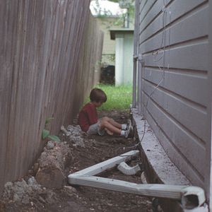 Bilder Ellar Coltrane