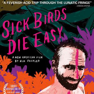 Bilder Sick Birds Die Easy