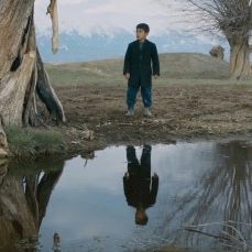 Bilder Kuzu - The Lamb