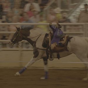 Bilder Cowgirls and Angels 2 - Dakotas Pferdesommer