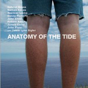 Bilder Anatomy of the Tide