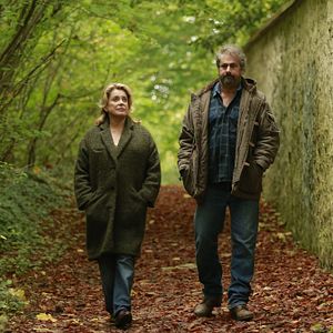 Bilder In The Courtyard