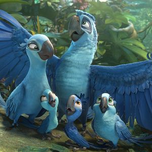 Bilder Rio 2 - Dschungelfieber