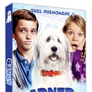 Bilder Albert, der unsichtbare Hund