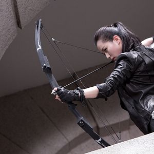 Bilder Badges Of Fury